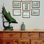 酒店 海豚酒店
