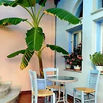 海豚酒店 2* 斯科派洛斯