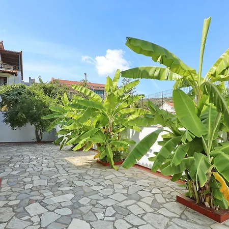 Dolphin 스코펠로스 타운