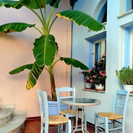 Dolphin 2* 스코펠로스 타운