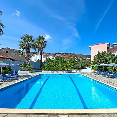 Dolphin Skopelos