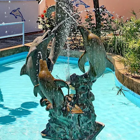 Dolphin 2*