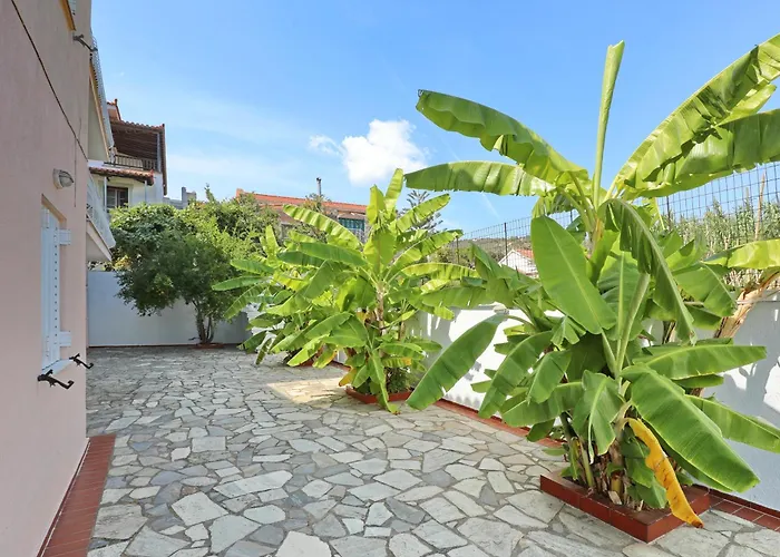 Dolphin Skopelos Town