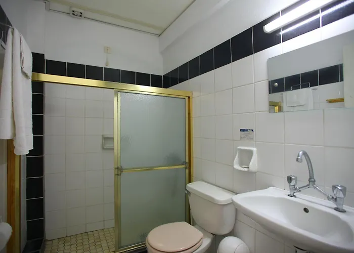 Dolphin Skopelos Town